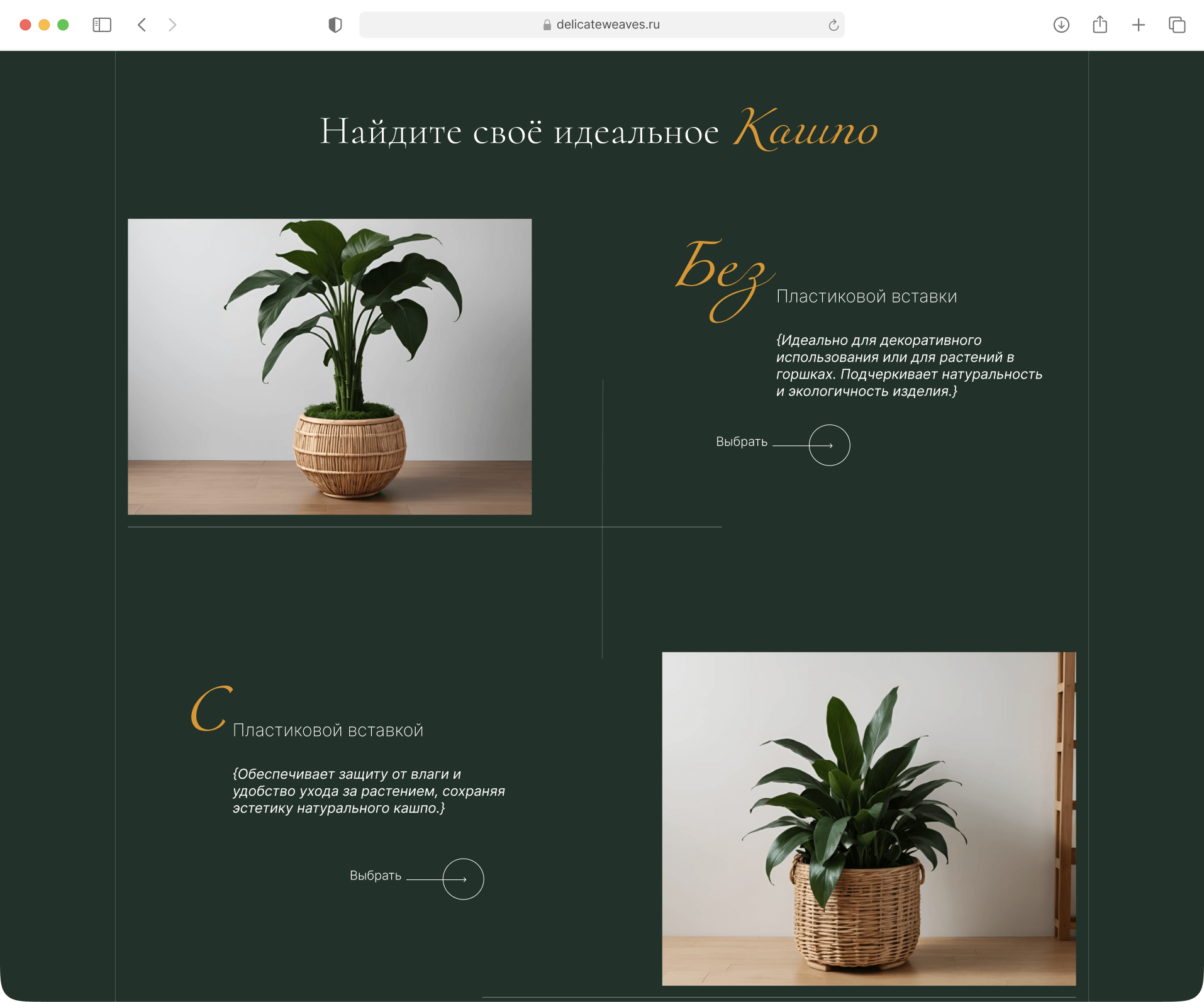 Catalog Journey